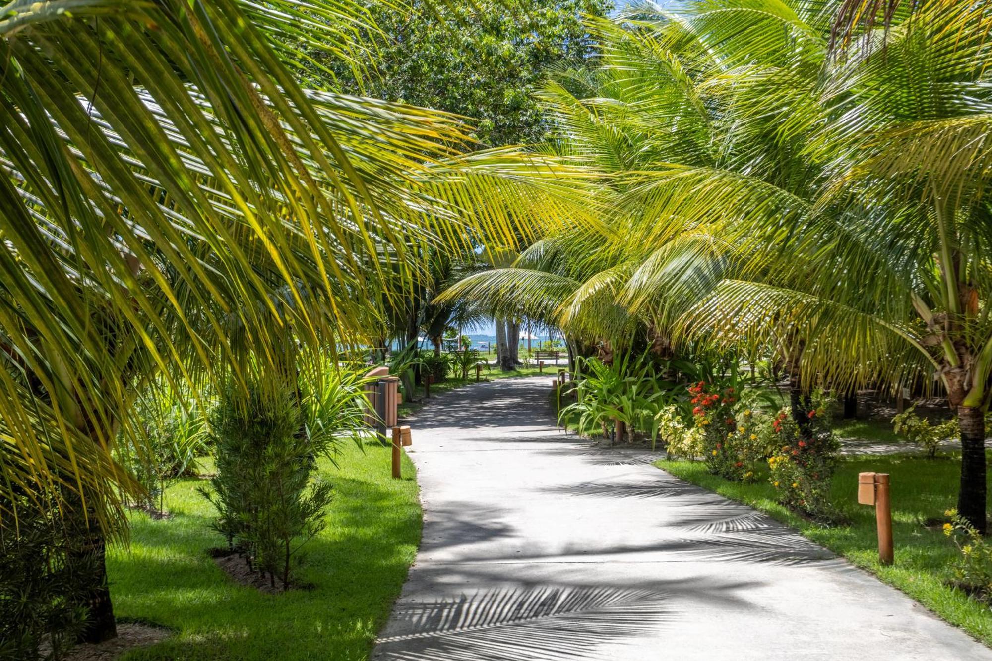 Vista Linda Eco Resort Carneiros Tamandaré Exteriér fotografie
